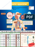 Phonator Apparatus: We Are Able To Poduce These Sounds With Our Articulators