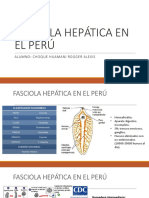 Fasciola Hepatica en El Perú