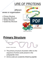 Protein Structure