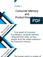 Consumer Memory and Product Knowledge: Understanding Through Affect and Cognition