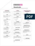 Biomolecules: Revision Map