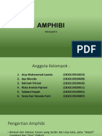AMPHIBI_40