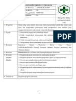 Sop Koordinasi Pelaksanaan Program