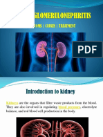 Lapkas RJK Chronicglomerulonephritis