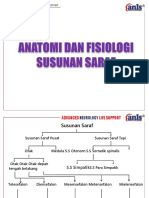 Anatomy Fisiologi Anls