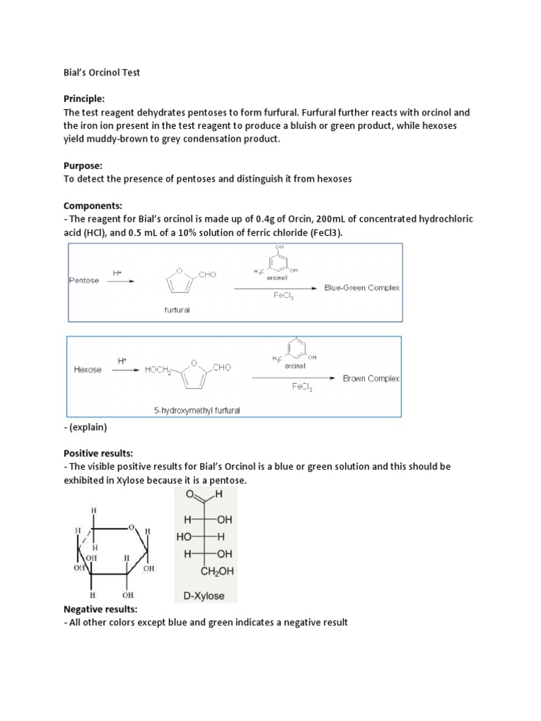 Bial's Orcinol Test PDF
