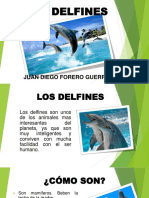 Texto Expositivo Sobre LOS DELFINES