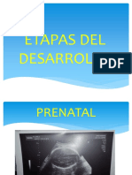 ETAPAS DEL DESARROLLO.pptx
