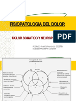 Fisiopatologia Del Dolor PPT Share)