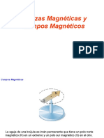 Magnetismo PDF