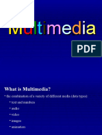 multimediablog-100609190928-phpapp02.pdf