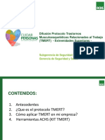 Presentación Protocolo TMERT.pdf