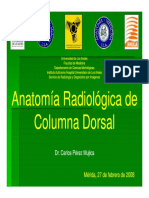 Columna Dorsal