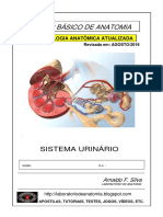 Apostila - SistemaUrinario2016