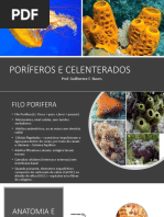 PORÍFEROS E CELENTERADOS.pptx