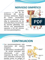 Sistema Nervioso Simpático