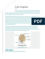 Diagram Otak Dan Fungsinya