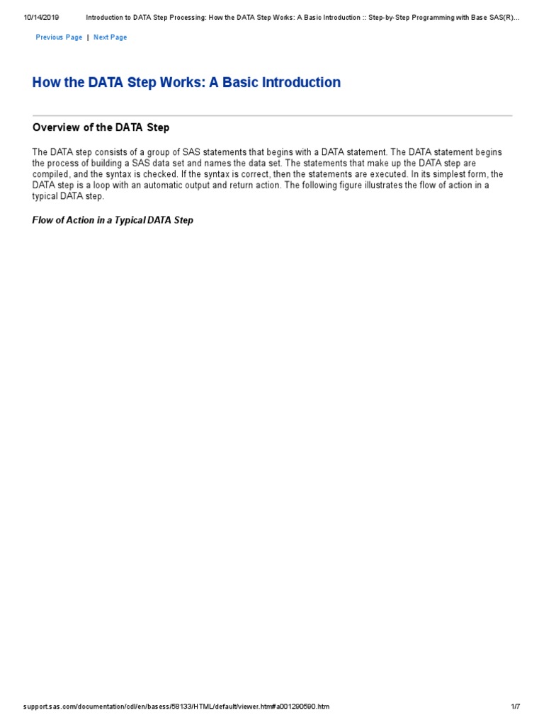 Introduction to SAS DATA Step Basics | PDF | Sas (Software) | Computer ...