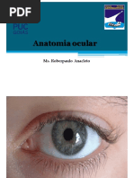 Aula 1 Anatomia Ocular