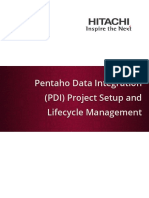 PDI Project Setup and Lifecycle Management