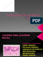 patologiadelaparatodigestivopartei-090708072304-phpapp01
