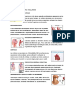 ENFERMEDADES DEL SISTEMA CIRCULATORIO.docx