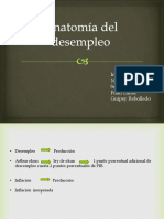 Anatomía Del Desempleo