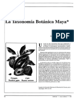 Taxonomía Botánica Maya