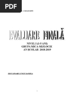 Evaluare Finala Grupa Miijlocie