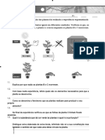 Estudo da alimentação das plantas