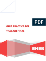 Guía Práctica Del Trabajo Final - FINANCIACIÓN DE PROYECTOS