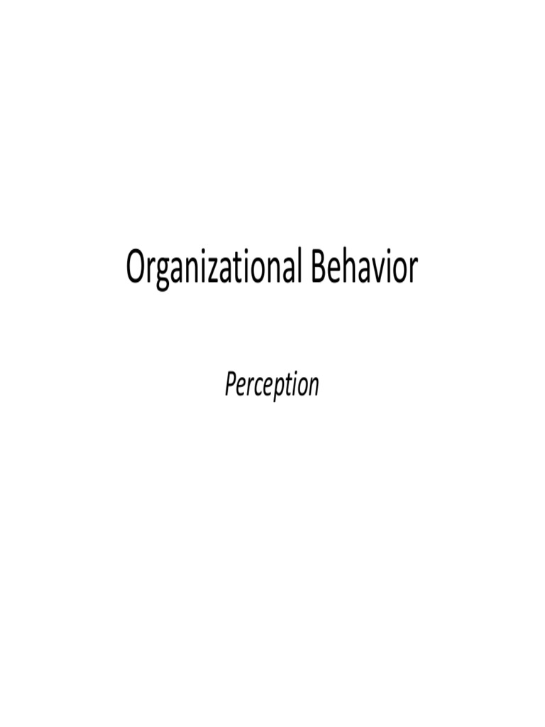 Organizational Behavior Perception Pdf Perception Bias
