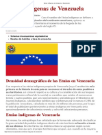 Etnias Indígenas de Venezuela - El Pensante