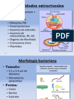 Estructura y Morfología Bacteriana-2-35