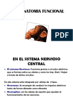 1. NEURO.FISIOLOGÍA.pdf