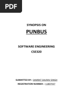 Synopsis On Punbus