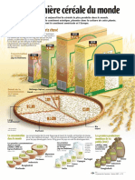 Infographie Carrefour - Le Riz, Première Céréale Du Monde - Février 2001