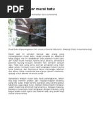 Download murai by nesaba SN43026774 doc pdf