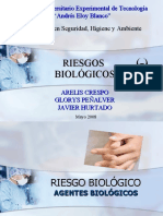 presentacinriesgobiolodico-100119210755-phpapp01 (1).pdf