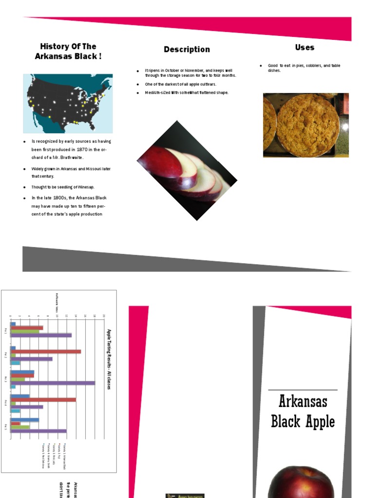 Cristina Aceves Apple Brochure | PDF | Apple | Vegan Cuisine