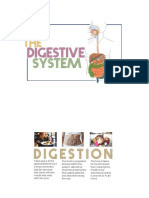 Digestive System Final - PDFX
