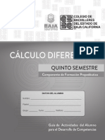 Principios en Caldulo Integral