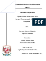 Tesis Ciclo de Vida Yacimiento (UNAM).pdf