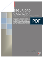 investigacion-seguridadciudadanavillamariadeltriunfo-111112015256-phpapp02.pdf