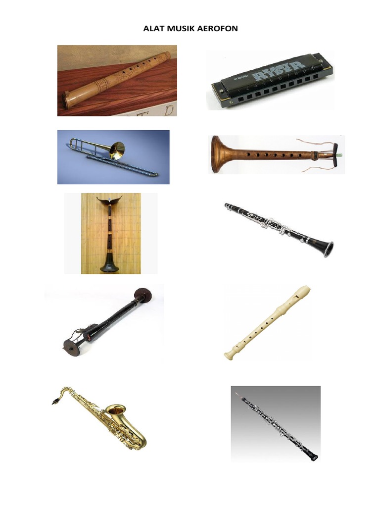 Alat Musik Aerofon