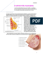 420-2014-02-27-Patologia mamaria.pdf