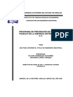 Programa de Prevención de Riesgos de Trabajo en La Empresa Entretex S.A. de C.V