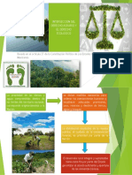 Intersecciones Del Derecho Ecologico y El Agrario