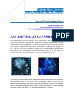 monografia-neurobiologia-maria.valdueza.tauroni.pdf
