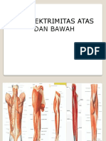 Anatomi 1 Otot AGA & AGB